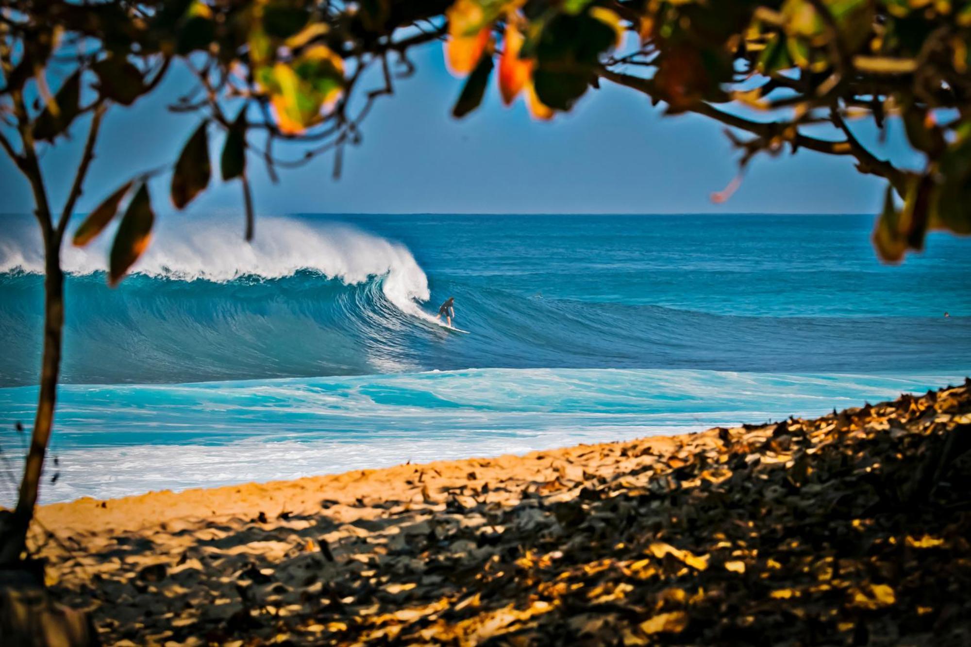 Newly Renovated 2 Bedroom Condo, 1 Block To Waikiki Beach, Free Parking ホノルル エクステリア 写真